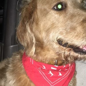 Meet your Posher, Alece